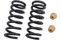 BT Coil Spring Set